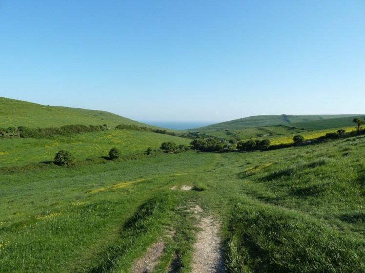 The view across the fields and hills towards the sea. It's very green.