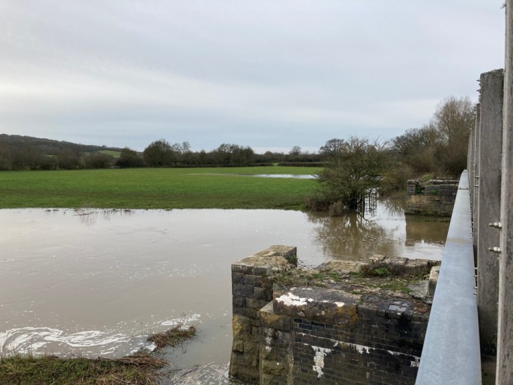 The remains of the old railway bridge sticking out of the river