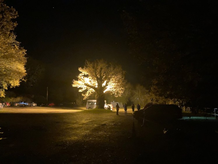 Car parking by night - a gravel car park with trees around the edges. One tree is spectacularly lit by a yellow light right behind it. There aren't many cars in it yet because this is Friday night before most people arrived.