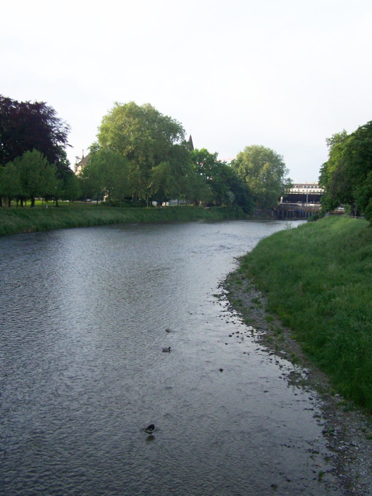 A narrow and probably shallow river flows between grassy banks and well-shaped trees. There are ducks paddling in the water.