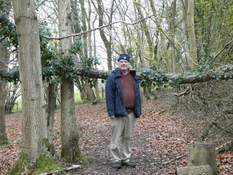 A fallen tree makes a natural limbo challenge