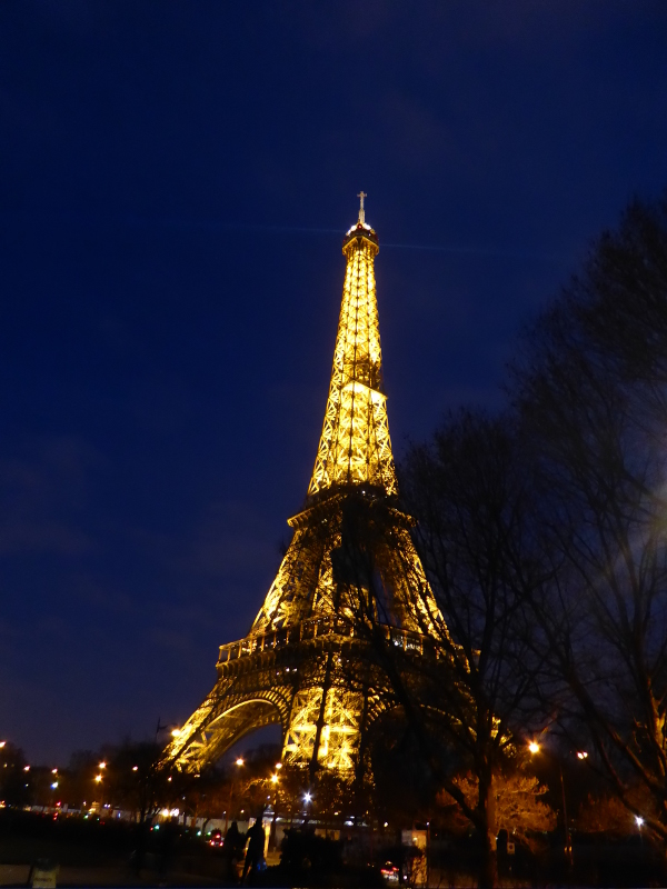 Eiffel Tower by night