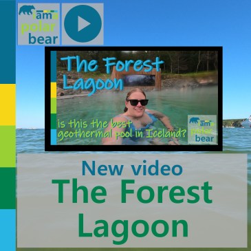 New video: The Forest Lagoon - is this the best geothermal pool in Iceland? | iamapolarbear.com