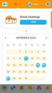 A Duolingo screenshot showing a 53 day streak and most of November coloured in orange to show I did a lesson that day. a few days are in blue but my streak was saved by streak freezes on those days.