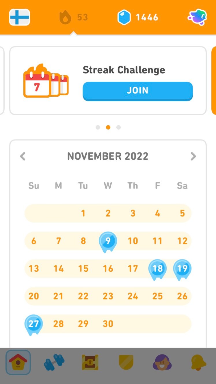 A Duolingo screenshot showing a 53 day streak and most of November coloured in orange to show I did a lesson that day. a few days are in blue but my streak was saved by streak freezes on those days.
