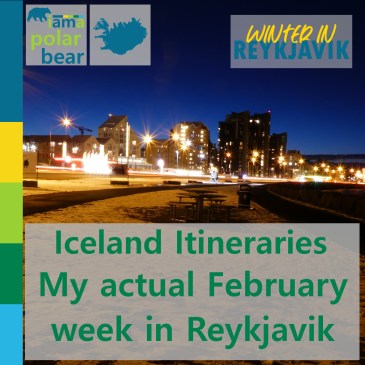 Iceland Itineraries: my actual February week in Reykjavik | iamapolarbear.com