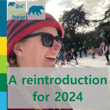 A reintroduction for 2024 | iamapolarbear.com