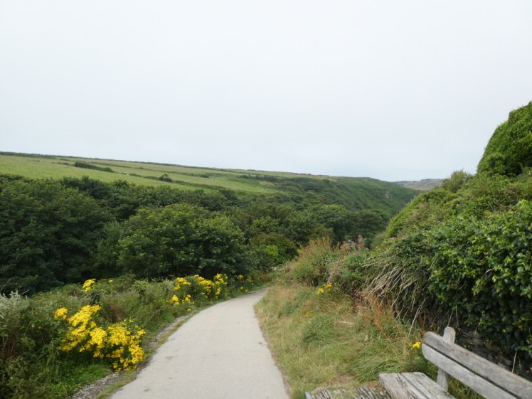 Walking down the hill from TIntagel village to the castle