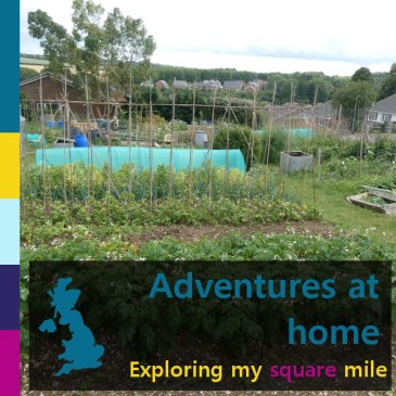 Adventures at home: Exploring my square mile | iamapolarbear.com