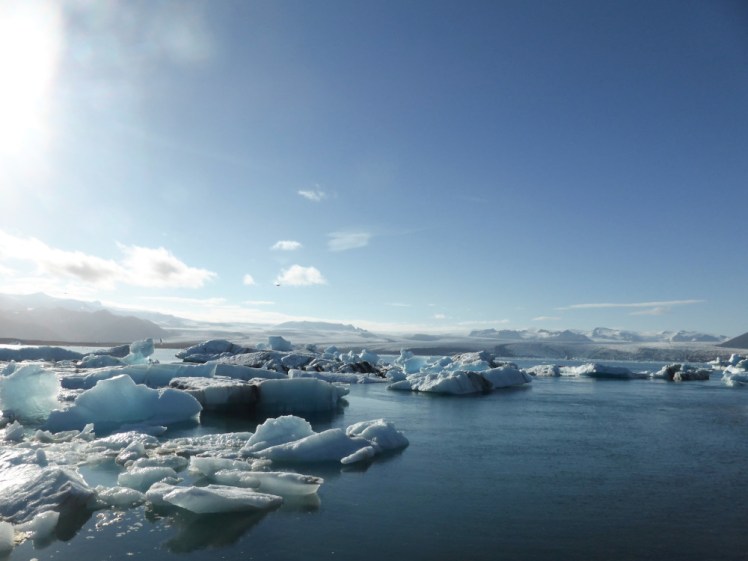 Blue icebergs streaked with black bands of ash float in a blue lagoon. In the distance you can just make out the glacier they've broken off. The sky is blue and the sun is causing havoc on the left-hand side, although it's just out of frame.