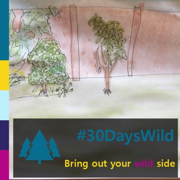 #30DaysWild | iamapolarbear.com