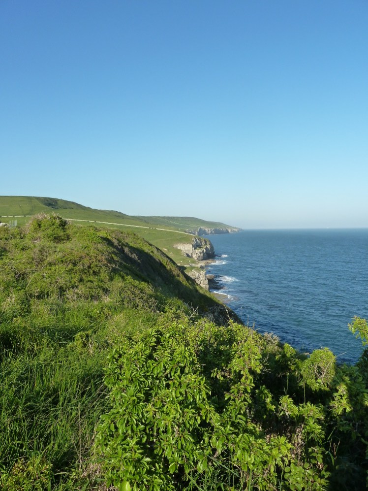 South West Coast Path between Worth Matravers and Dancing Ledge