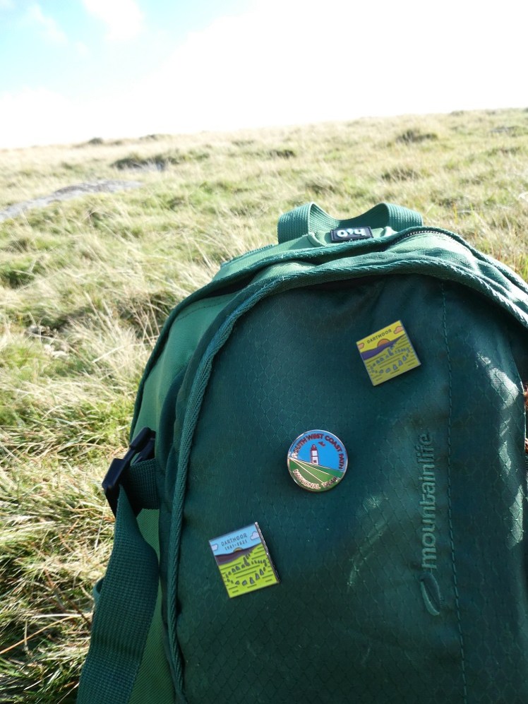 Walking pins on my walking bag