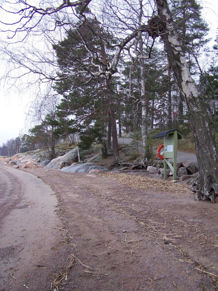 A beach with rocky edges separating the muddy dark sand from the pine woods behind.