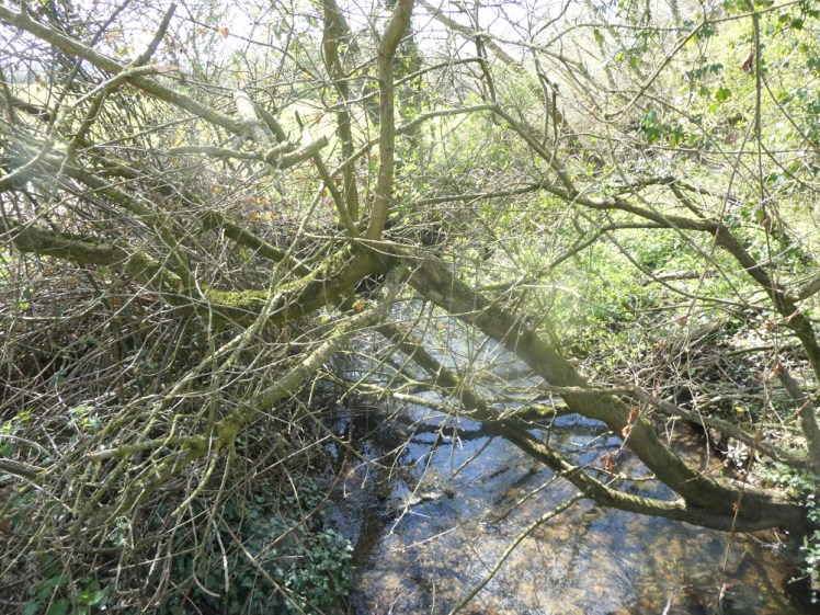The footbridge before the path splits