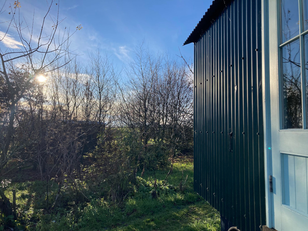 A photo taken from the side of a shepherd's hut clad in dark green corrugated iron. Behind it is a large bush, a bit bare because it's winter and behind that is a blue winter sky with wisps of cloud.