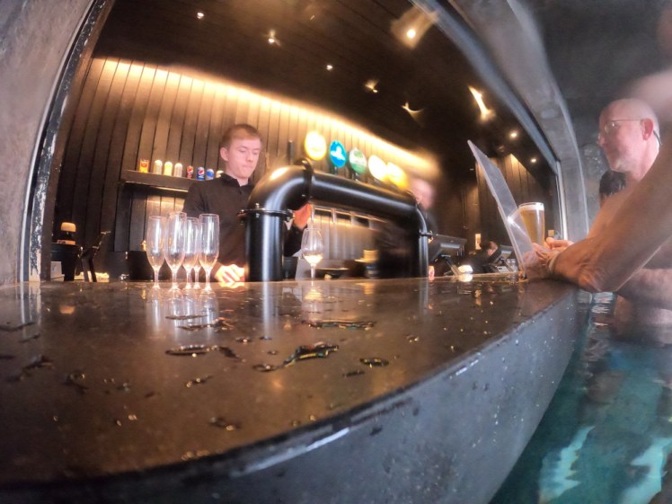 The swim-up bar, a proper bar with beer taps and a row of non-alcohol drinks along the back. It's low enough in the water that you can see over the edge just about while keeping your shoulders underwater although it's easier to order if you stand upright.