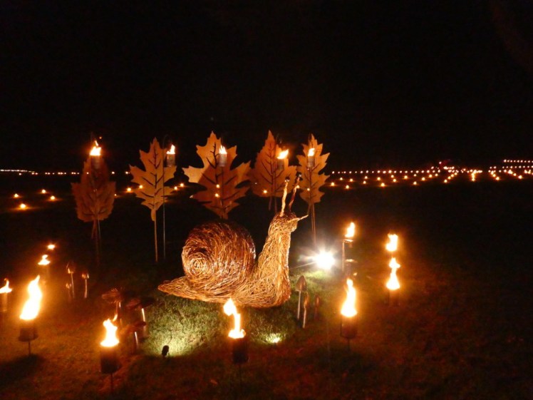 Snail fire illuminations