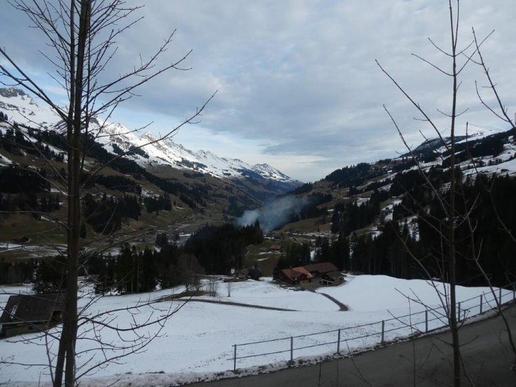 49328438278_f620d0eda4_k