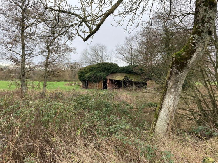 Dilapidated shed that's probably not home to barn owls