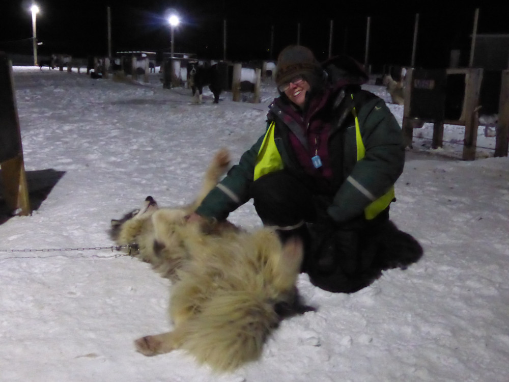 It's a bit blurry because my camera doesn't like taking photos in the dark but I'm kneeling in the snow, wearing lots of warm clothes and a fluorescent vest, playing with a huge fluffy dog who's rolling on his back and even blurrier because he's not staying still for the camera.