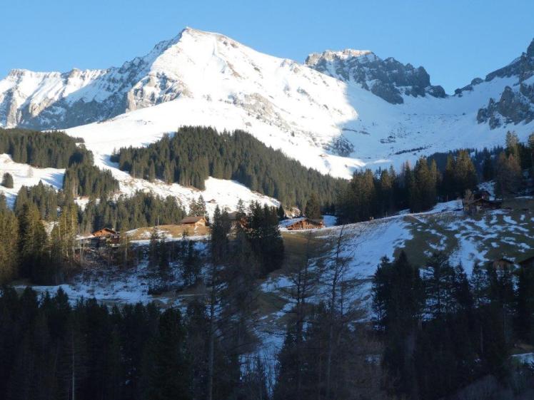 Our Chalet as seen from Adelboden village