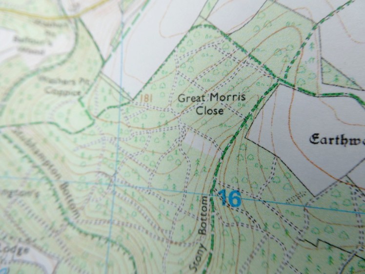 The white patch in the woods