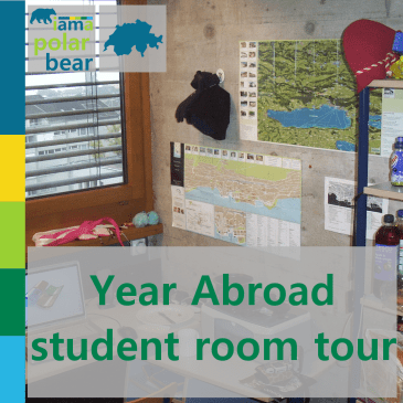 Year abroad student room tour | iamapolarbear.com