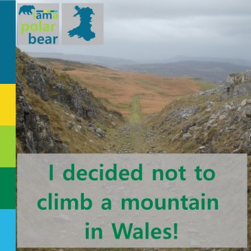 I decided not to climb a mountain in Wales! | iamapolarbear.com