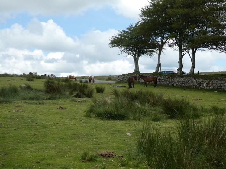The edge of the "big" car park at Merrivale with horses grazing