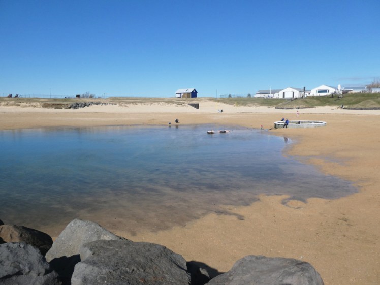 Nautholsvik from the side, with the hotpot half-buried in the sand a couple of feet beyond the reach of the pool at low tide.