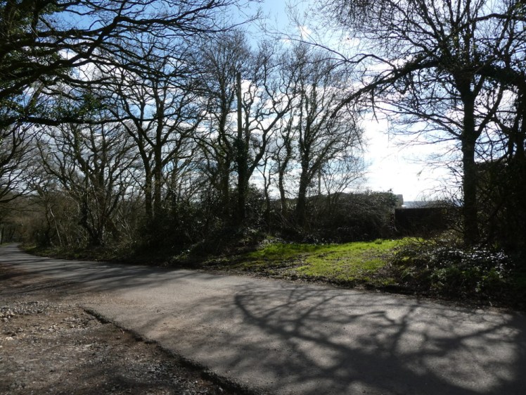The view from the picnic bench