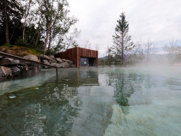The Forest Lagoon. A greenish pool surrounded by trees, with a wooden hut serving as a bar on the water's edge.