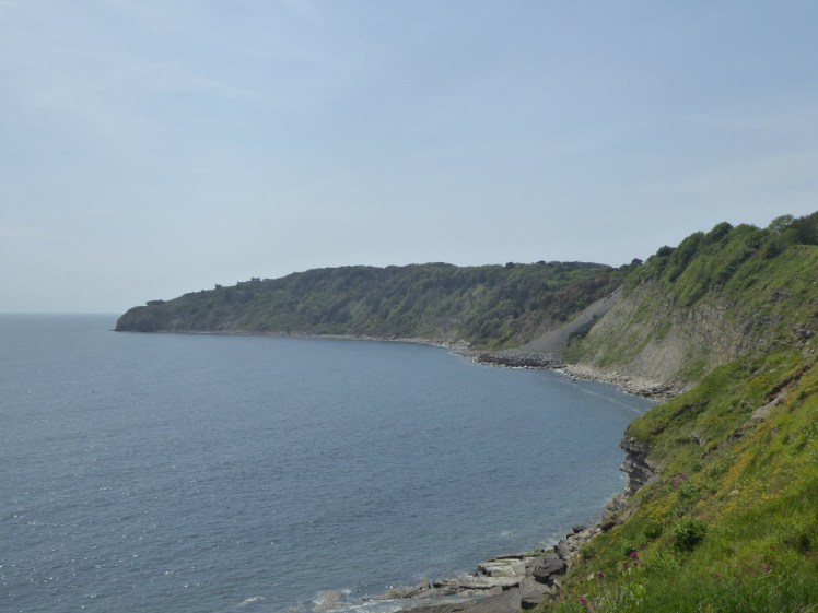 The view along the cliffs from Swanage to Durlston. It's fairly low cliffs, with slips in places but mostly fairly green