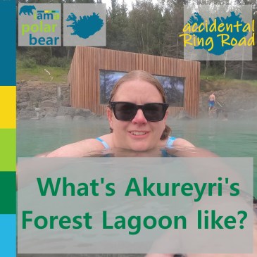 What's Akureyri's Forest Lagoon like? | iamapolarbear.com
