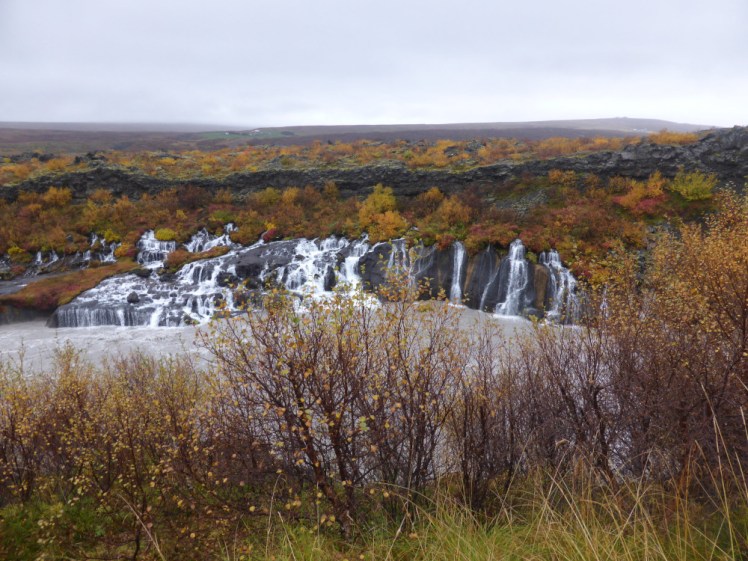 A lava field covered in orange-yellow leaves, shrubs and heather. Streams of water are pouring out of the side of the lava field and into the river below.