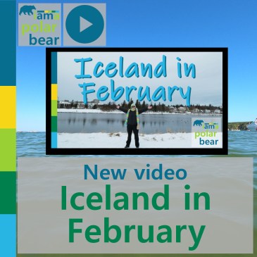 New video: Iceland in February | iamapolarbear.com