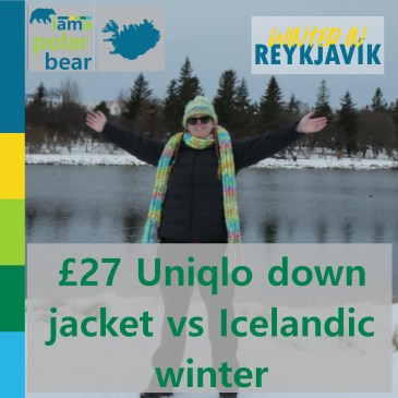 £27 Uniqlo down jacket vs Icelandic winter | iamapolarbear.com