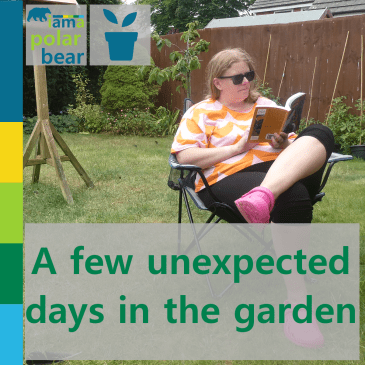 A few unexpected days in the garden | iamapolarbear.com