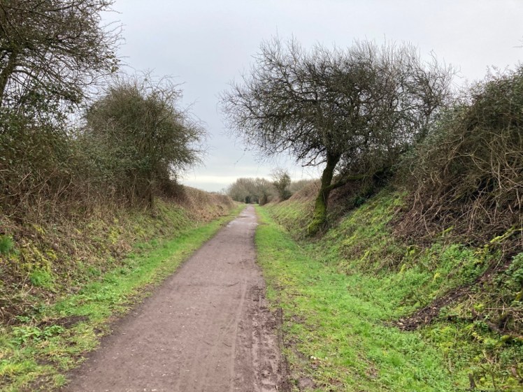 North Dorset Trailway just south of the Hammoon road