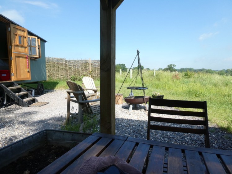 The outdoor area seen from the kitchen shelter