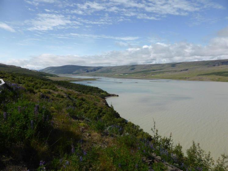 Hallormsstaður forest