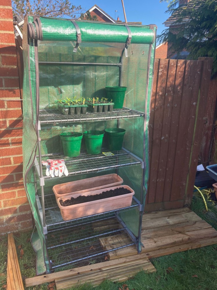 My new greenhouse, with the peppers & chillis visiting