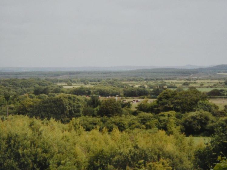 Purbeck countryside views