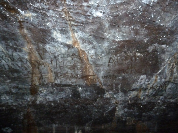 Names written in the slime and light plant growth on the wall of a cave.