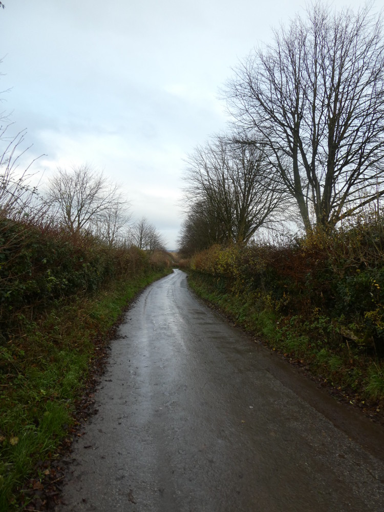 Walking down a country lane