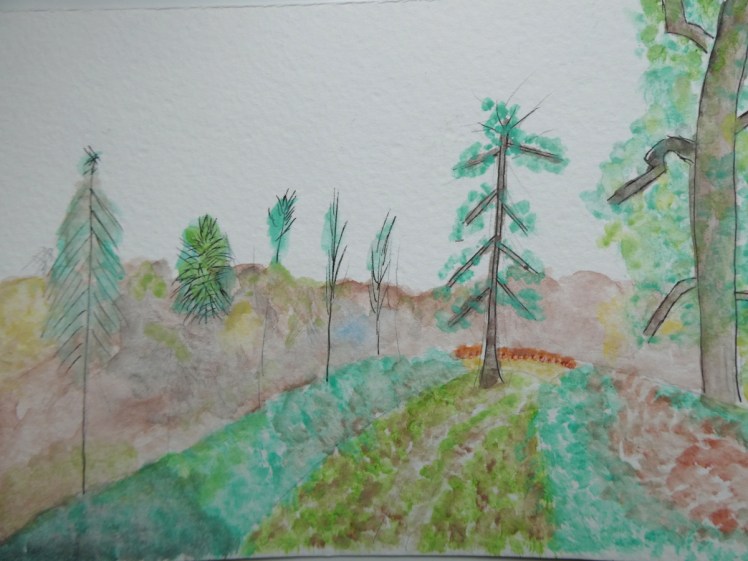 A watercolour painting of the woods
