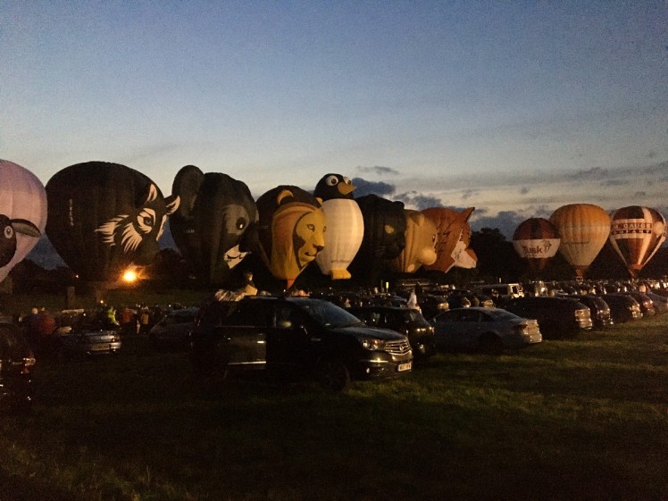 Hot air balloons at dusk, inflated and ready to glow