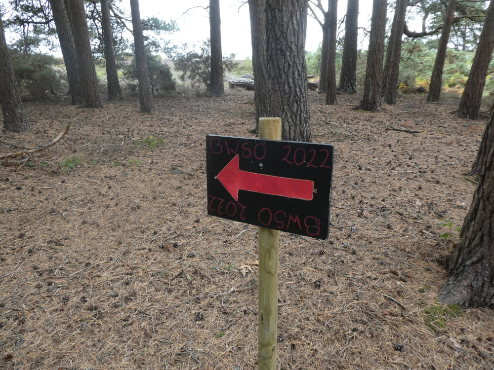 A wooden signpost in the pine forest pointing to "BWSO 2022". The sign in painted black. The big arrow and the words are in red.