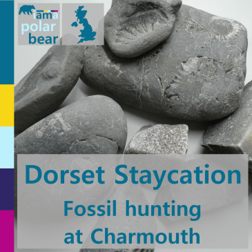 Dorset Staycation: Fossil hunting at Charmouth | iamapolarbear.com